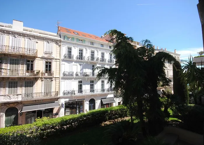 Gray D'albion 2p Ali1165 *